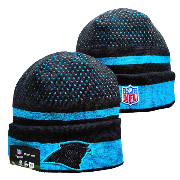Carolina Panthers 2021 Knit Hats 002